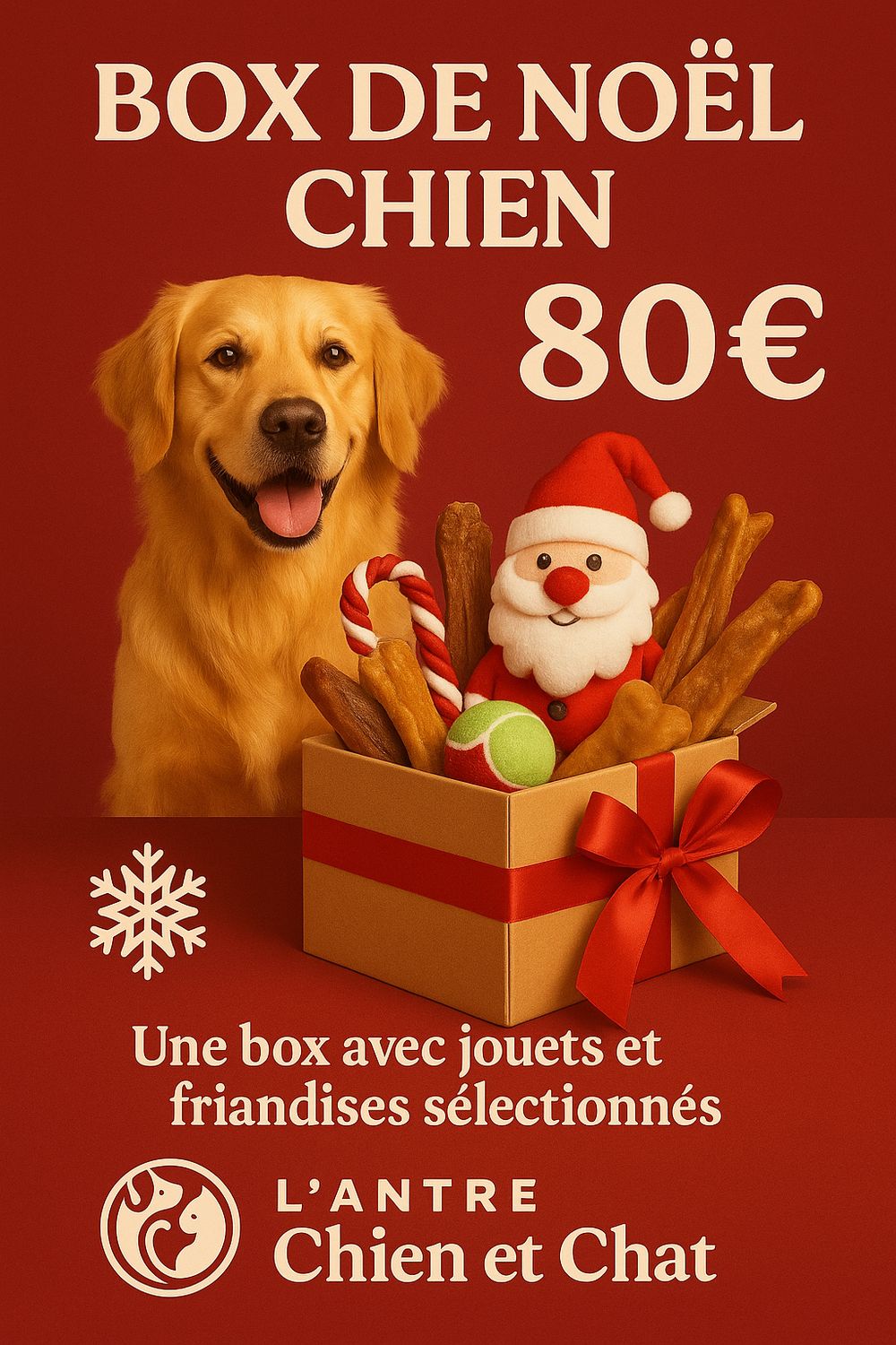 BOX DE NOËL CHIEN 80 EUROS