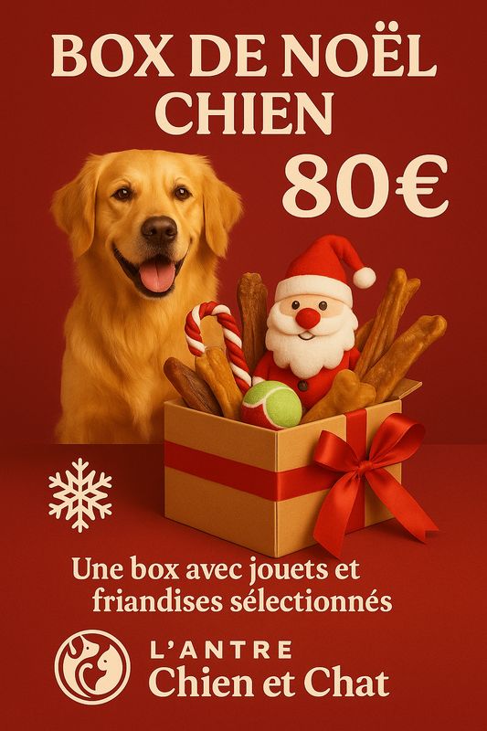 BOX DE NOËL CHIEN 80 EUROS
