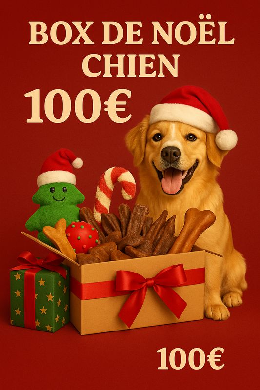 BOX DE NOEL CHIEN 100€