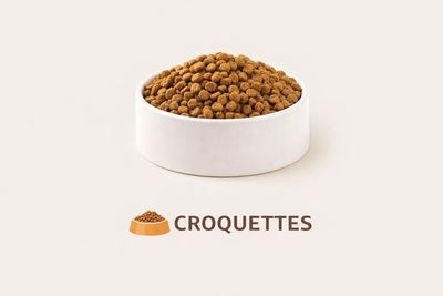 RECETTES ALIMENTATIONS CHATS