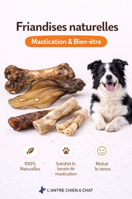 FRIANDISES NATURELLE