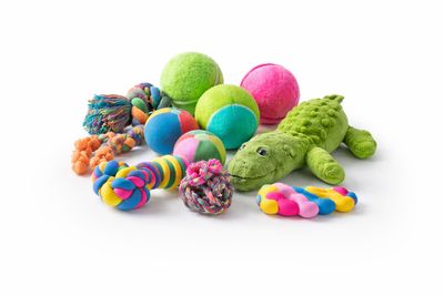 JOUETS POUR CHIEN