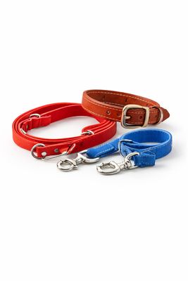 LAISSES/COLLIERS&HARNAIS