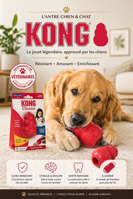 JOUET KONG