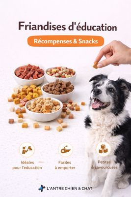 BISCUITS ET RECOMPENSES