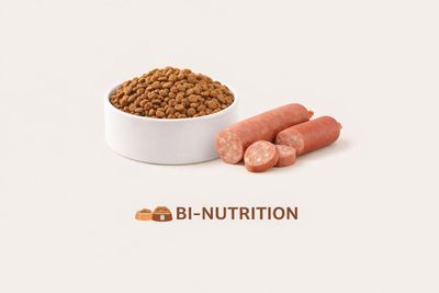 SAUCISSONS POUR CHIEN : un aliment complet et source de protéines