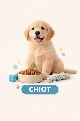 CHIOT