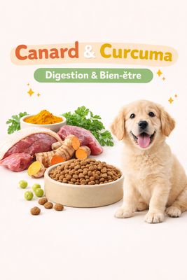CHIOT CANARD CURCUMA