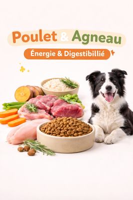 POULET AGNEAU