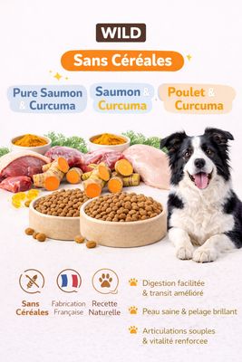 WILD SAUMON SANS CEREALES