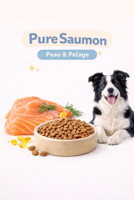 PURE SAUMON AVEC CEREALES