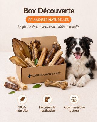 BOX DECOUVERTE 100% NATURELLE