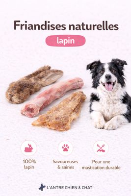LAPIN