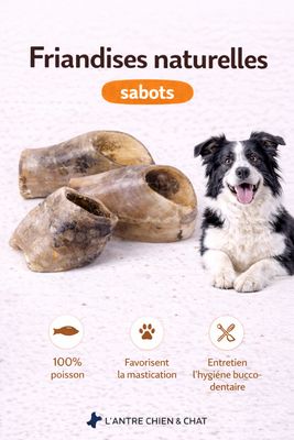 SABOTS