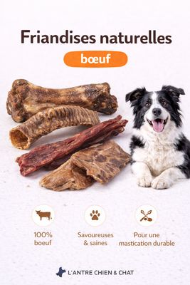 Boeuf