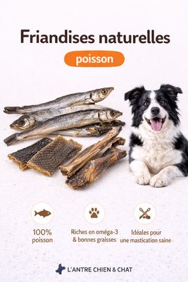 POISSONS