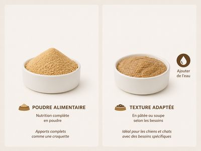 Poudre Alimentaire – Nutrition complète & texture adaptée