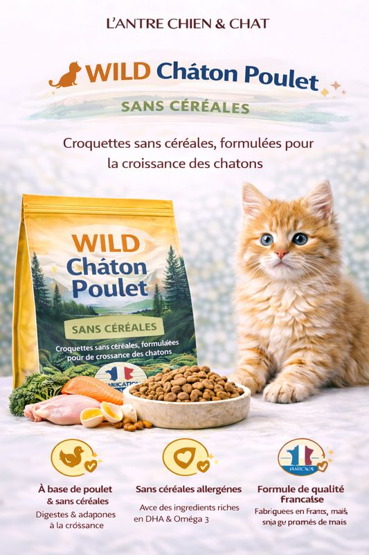 RECETTE WILD CHATON POULET 2.5KG SANS CEREALES