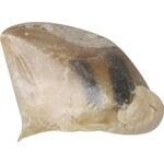 NATURE SABOT DE VEAU NATURE SABOT DE VEAU
