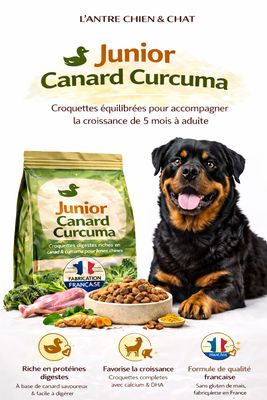 Recette JUNIOR PUPPY LARGE CANARD 2.5KG Recette JUNIOR PUPPY LARGE CANARD 2.5KG