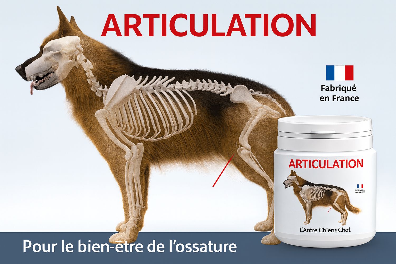 ARTICULATION CHIEN ET CHAT 200G