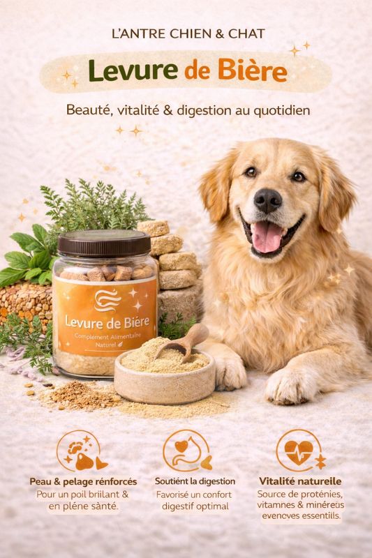 LEVURE DE BIERE 250G