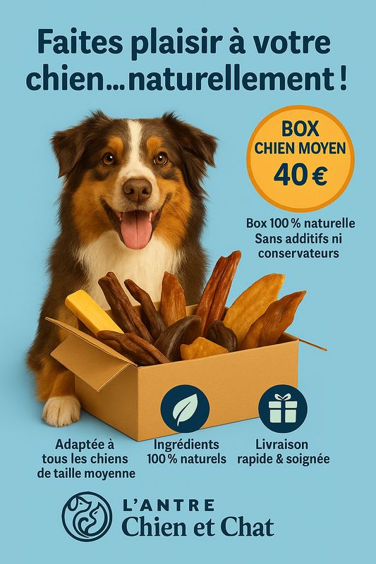 COFFRET découverte friandises pour chien moyen avec jouet OFFERT