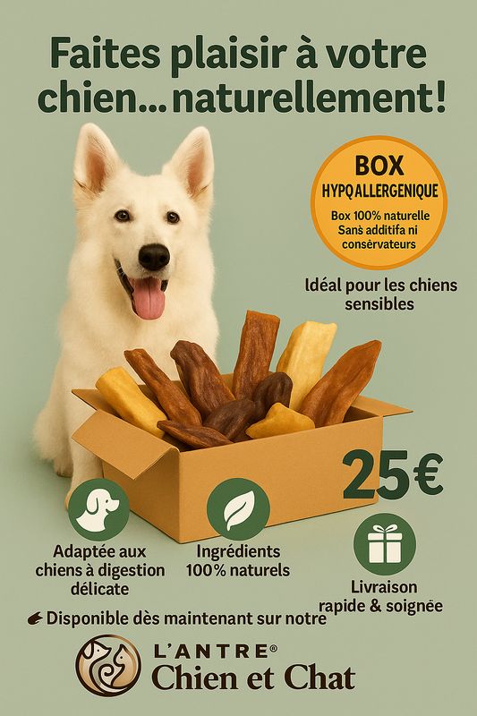 COFFRET découverte friandises hypoallergénique pour chien avec jouet OFFERT COFFRET découverte friandises hypoallergénique pour chien avec jouet OFFERT