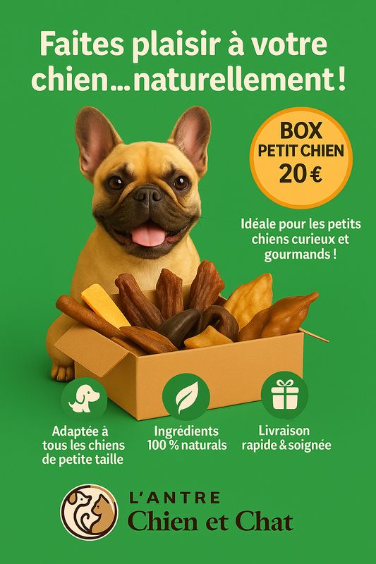 COFFRET découverte friandises pour petit chien avec jouet OFFERT COFFRET découverte friandises pour petit chien avec jouet OFFERT
