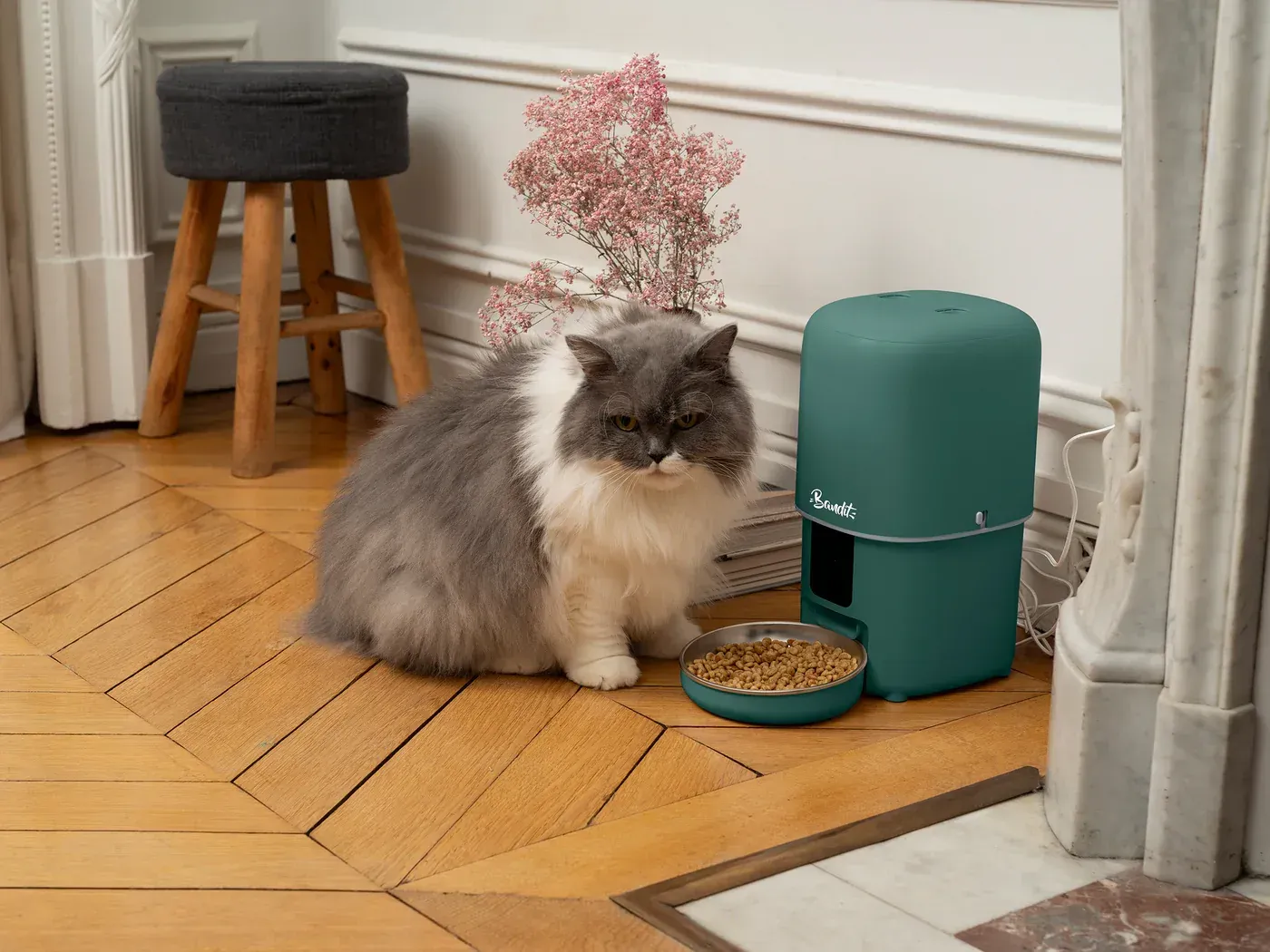 Distributeur de croquettes intelligent BANDIT