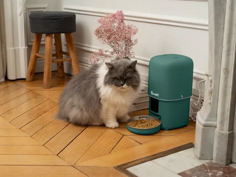 Distributeur de croquettes intelligent BANDIT