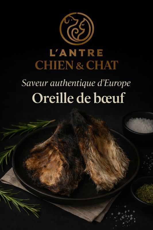 OREILLE DE BOEUF AVEC POILS X3