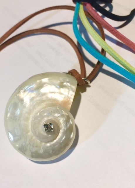 #125 Delphinula Shell Necklace