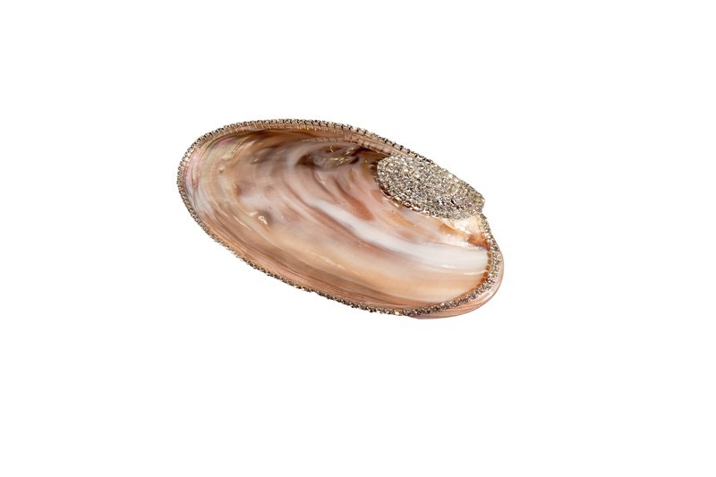 #127 Clamshell 