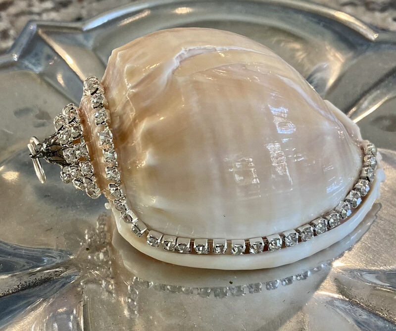 #144 Bonnet Shell Ornament
