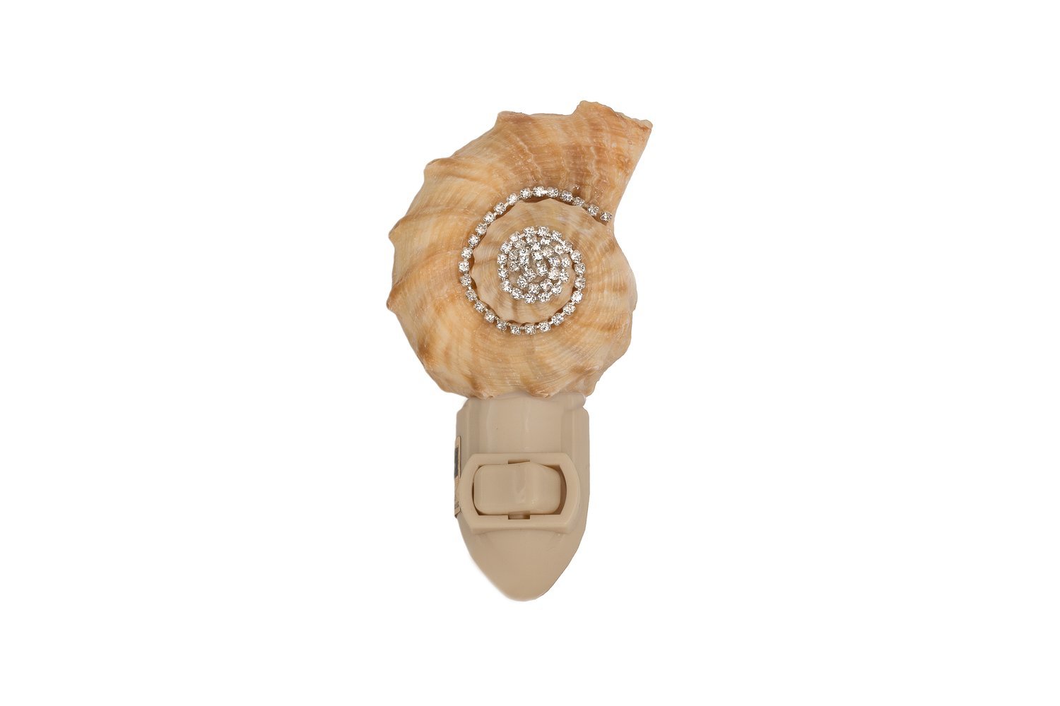 #068 Rapana Shell Night Light