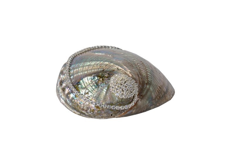 #082 Polished Green Mexican Abalone