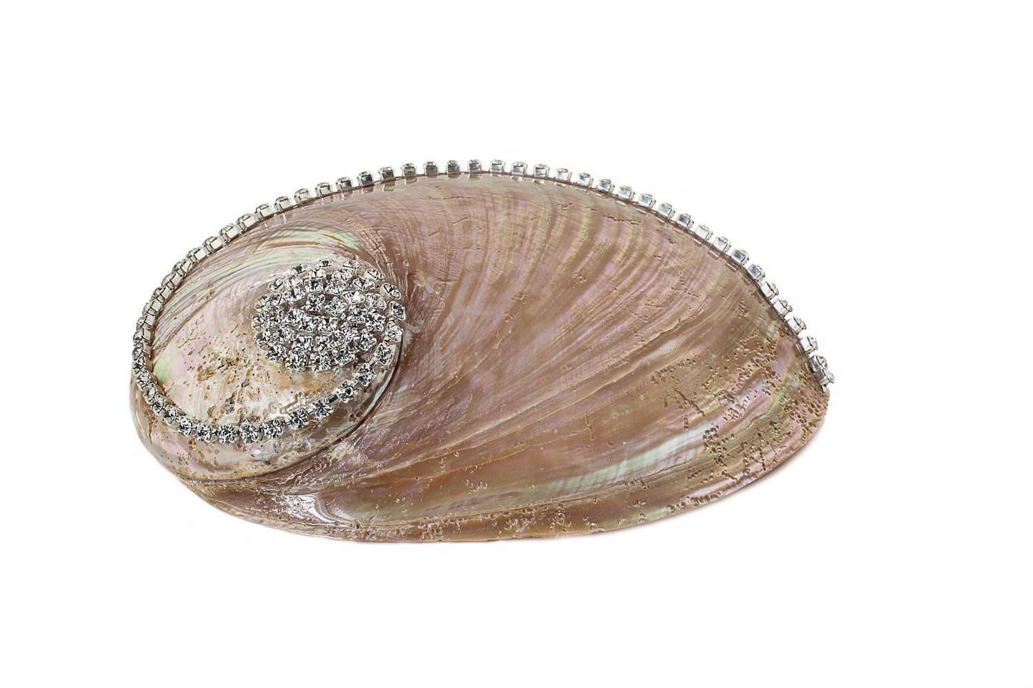 #009 Abalone Pearl
