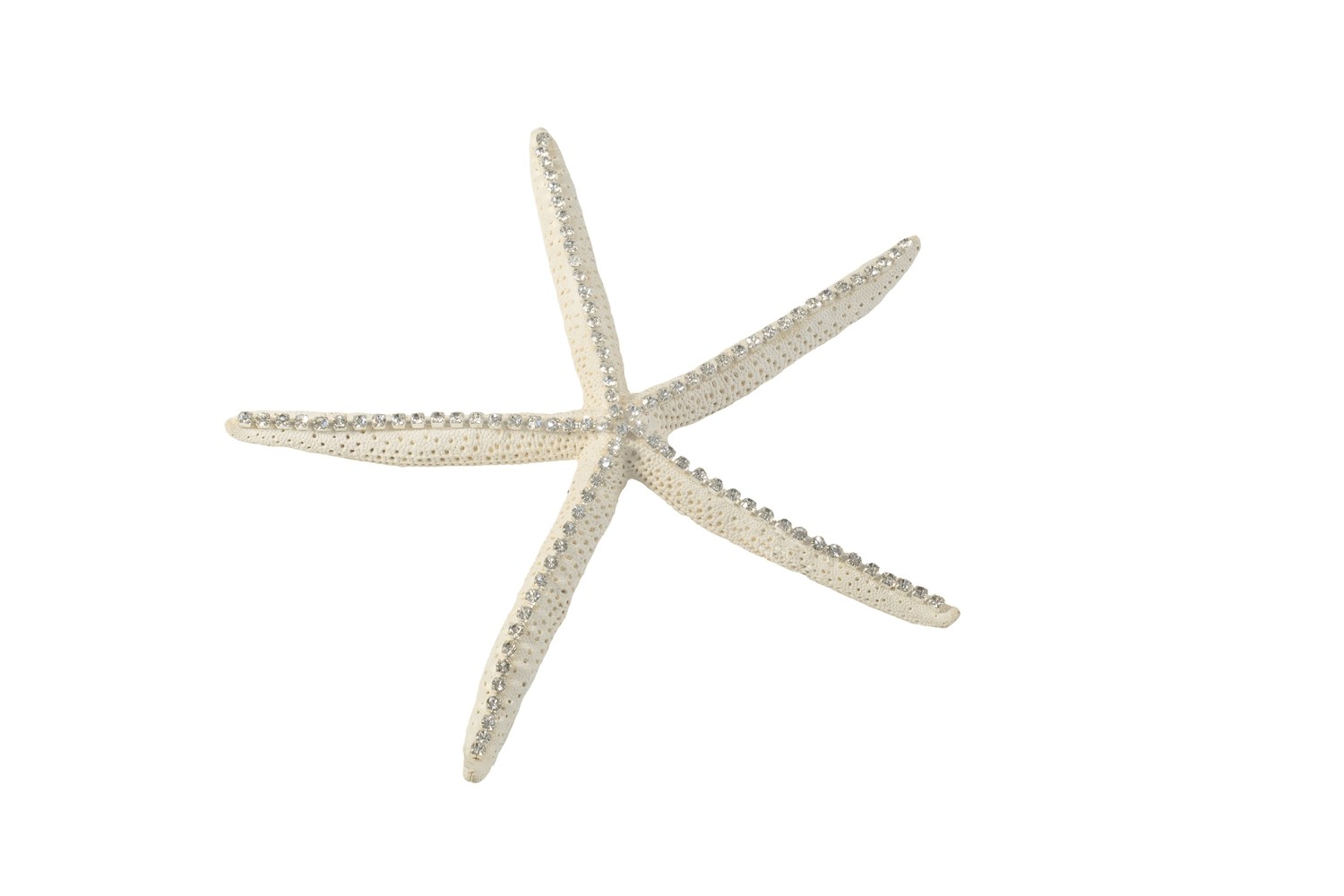 #012 Large Starfish