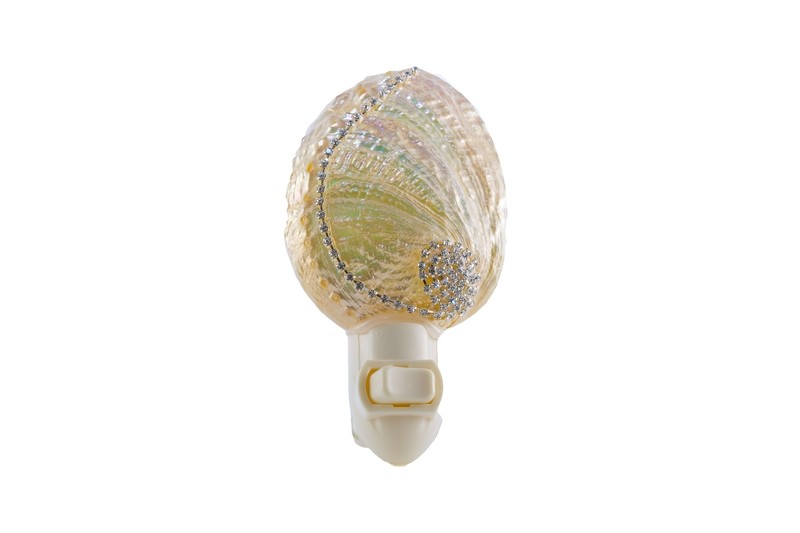 #023 Abalone Night Light