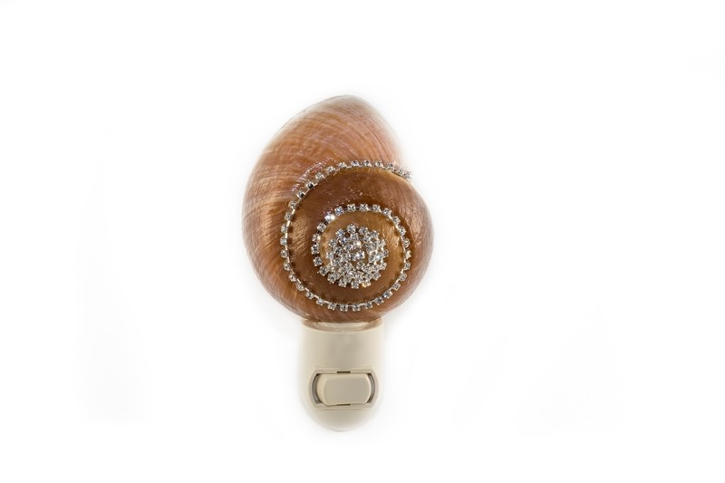 #024 Muffin Snail Night Light
