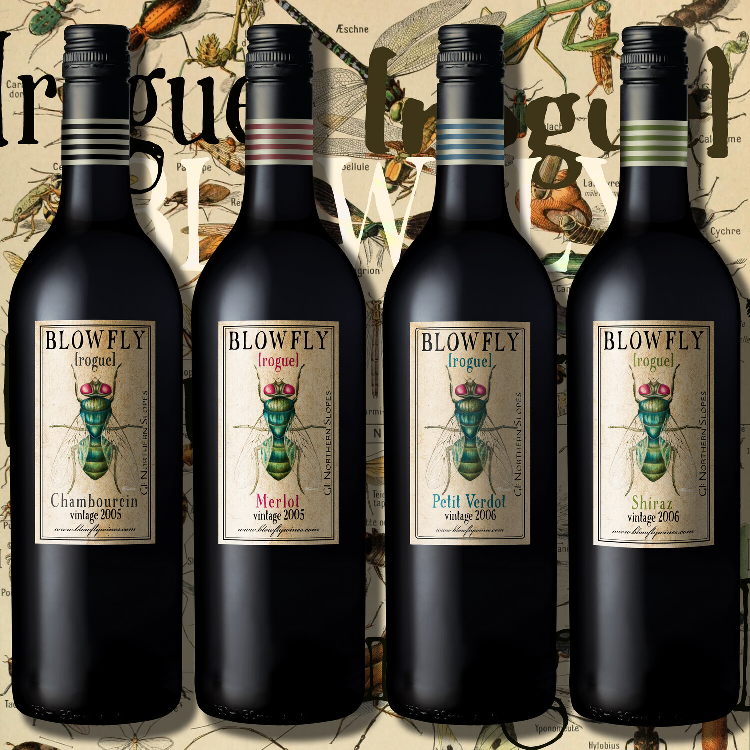 BLOWFLY [rogue] Chambourcin • Merlot • Petit Verdot • Shiraz MIX DOZEN