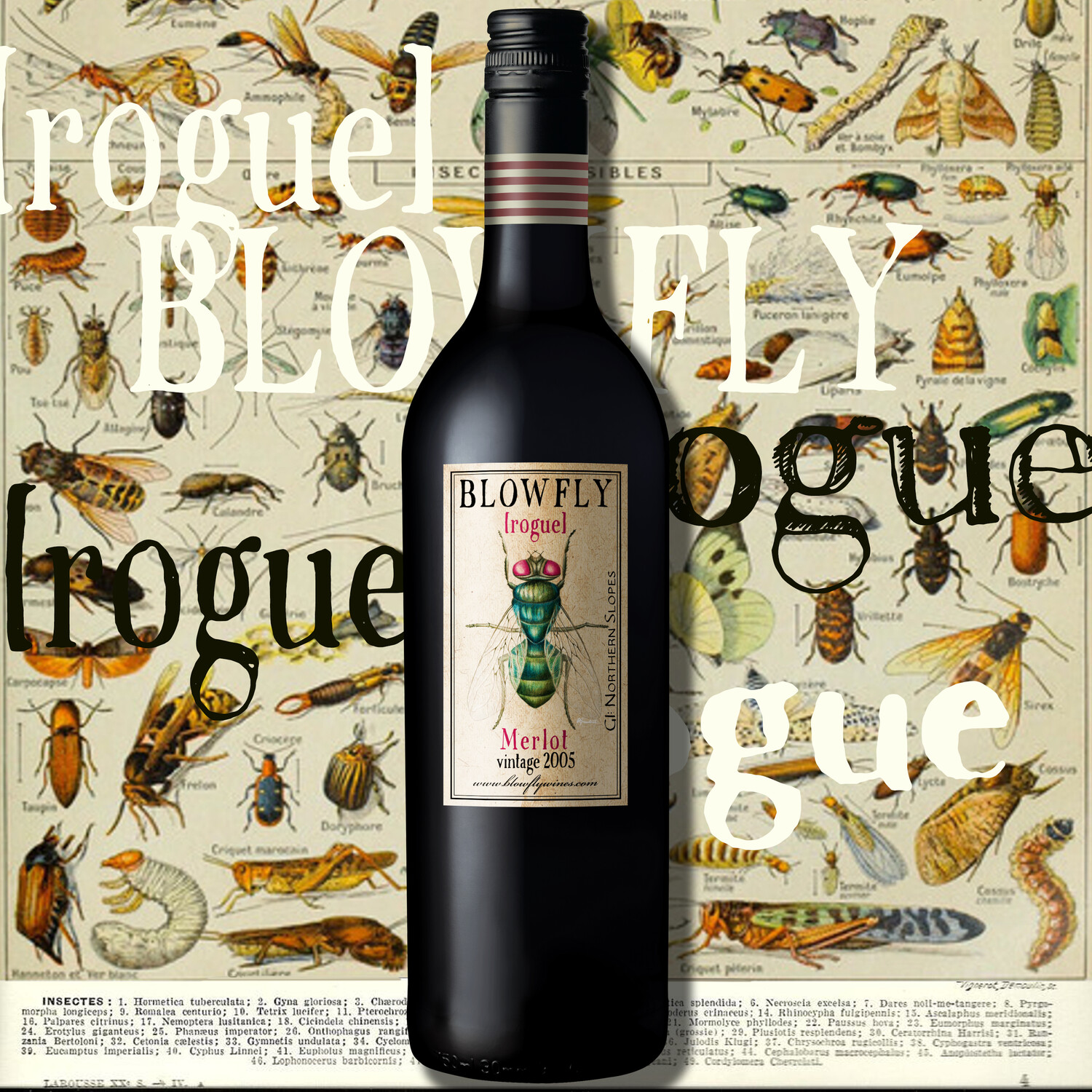 BLOWFLY [rogue] Merlot 2005  ⓺