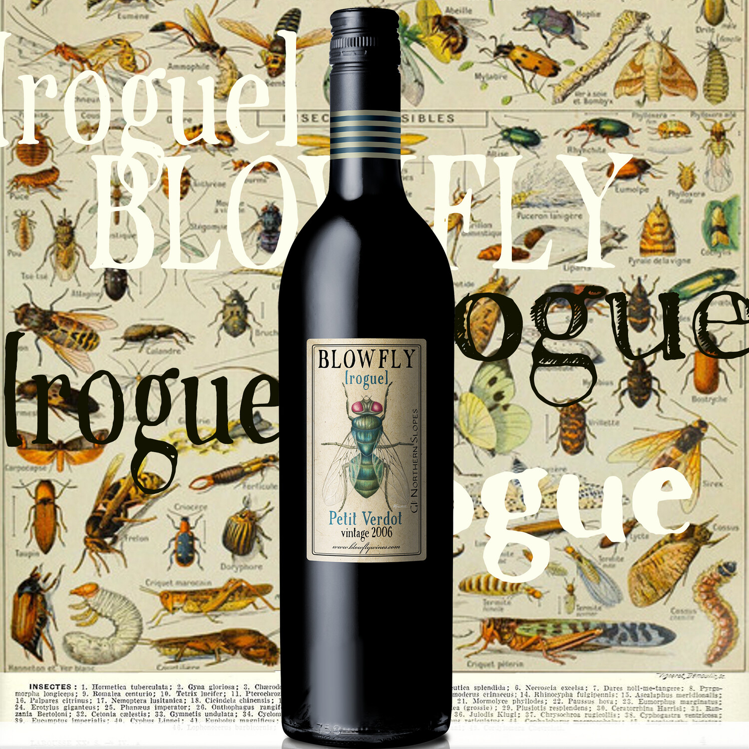 BLOWFLY [rogue] Petit Verdot 2006  ⓺