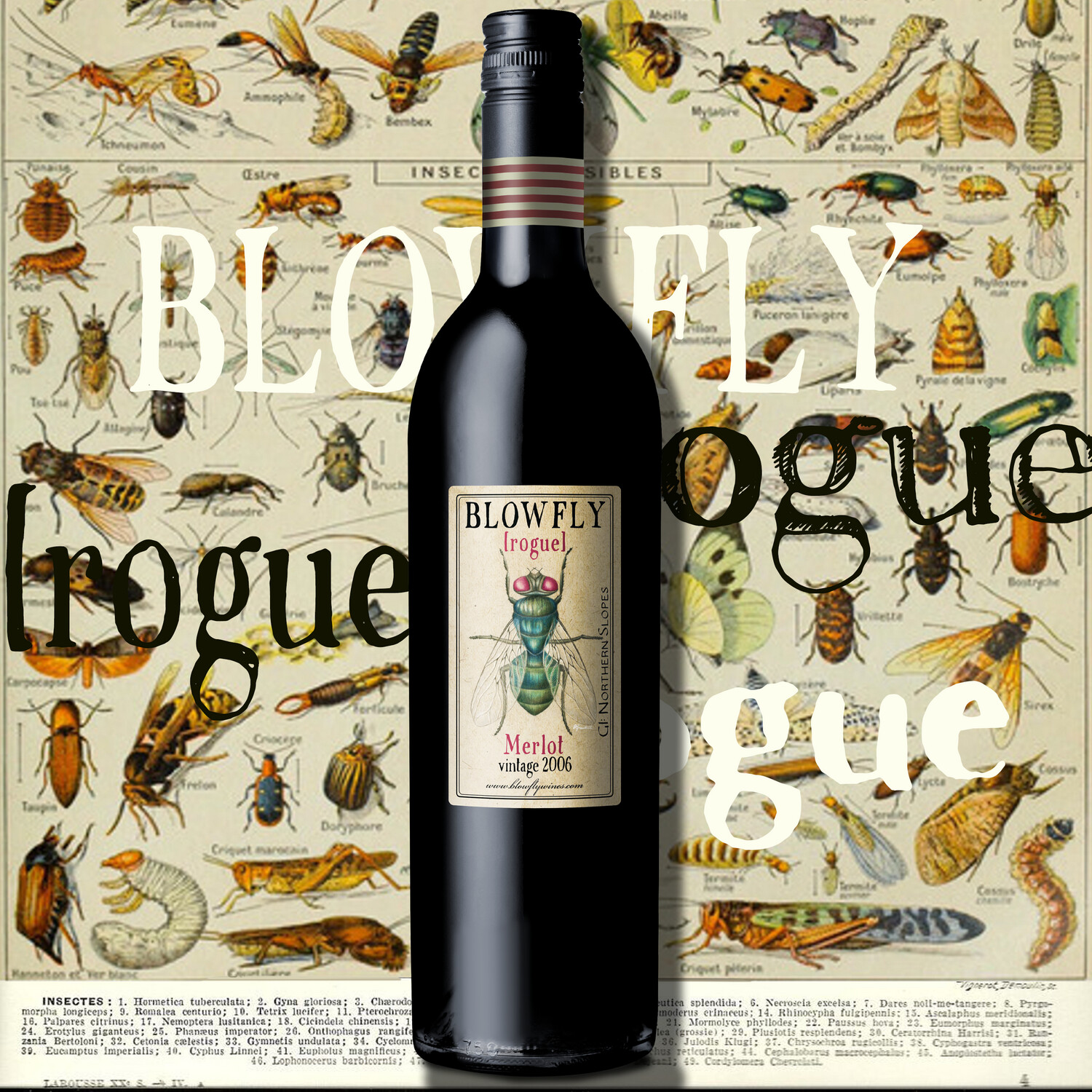 BLOWFLY [rogue] Merlot 2006  ⓺