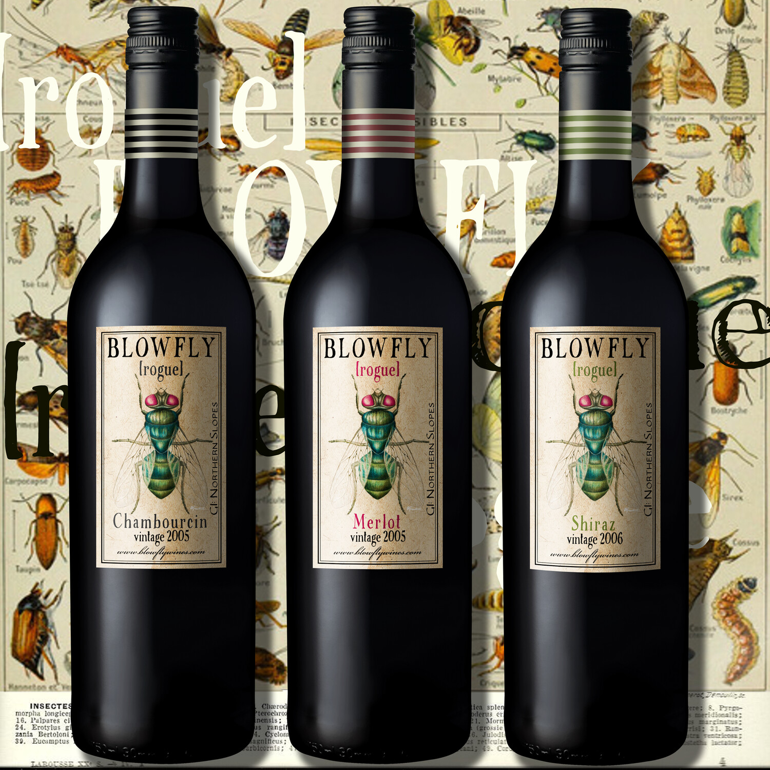 BLOWFLY [rogue] Chambourcin • Merlot • Petit Verdot  ⓺ MIX