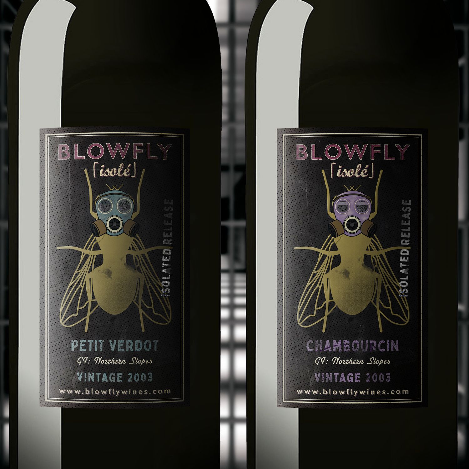 BLOWFLY isolé Chambourcin/Petit Verdot 03  ⓺