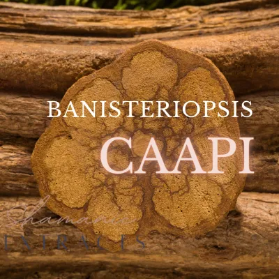 Close-up of Banisteriopsis caapi vine – sacred ayahuasca ingredient from the Amazon rainforest