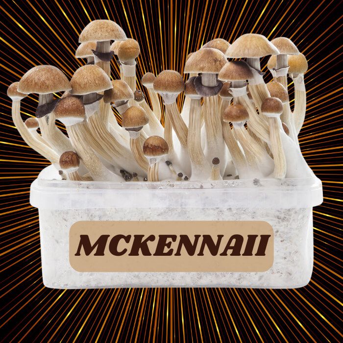 Complete 100% Mycelium Mushroom Cultivation Kit McKennaii