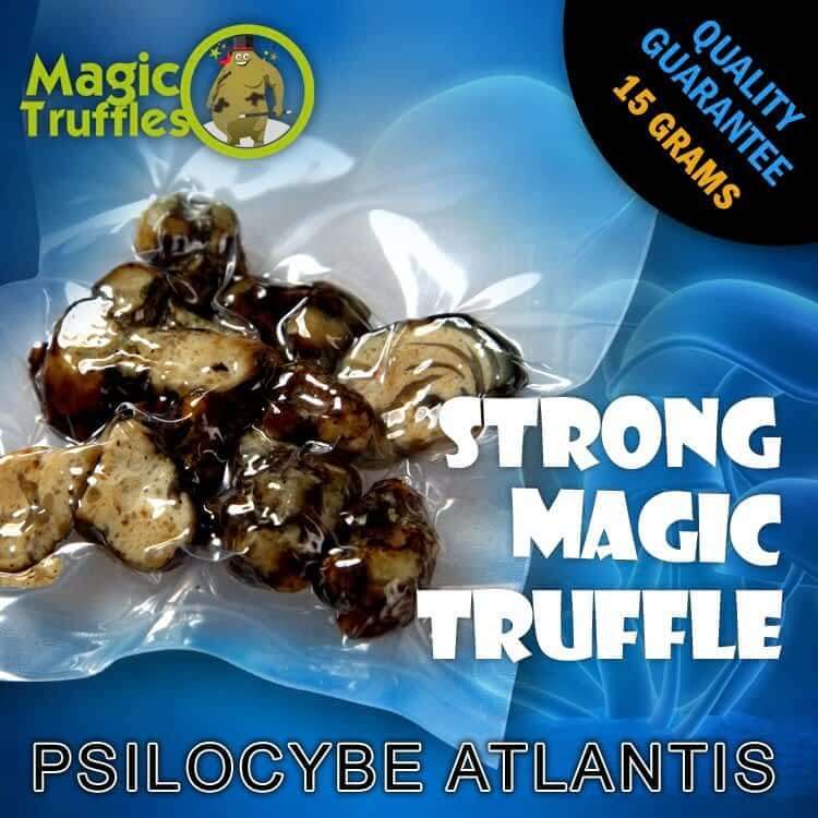 Magic Truffles Atlantis 15g – Premium Psilocybin Truffles for Psychedelic Experience